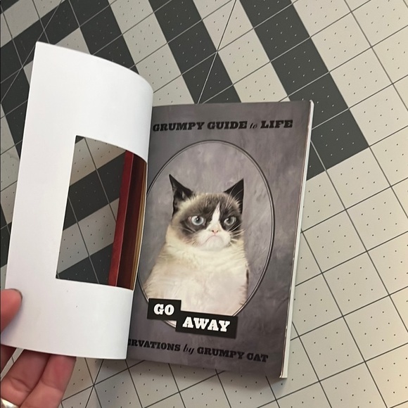 Red and Gold Grumpy Cat book - Picture 9 of 9